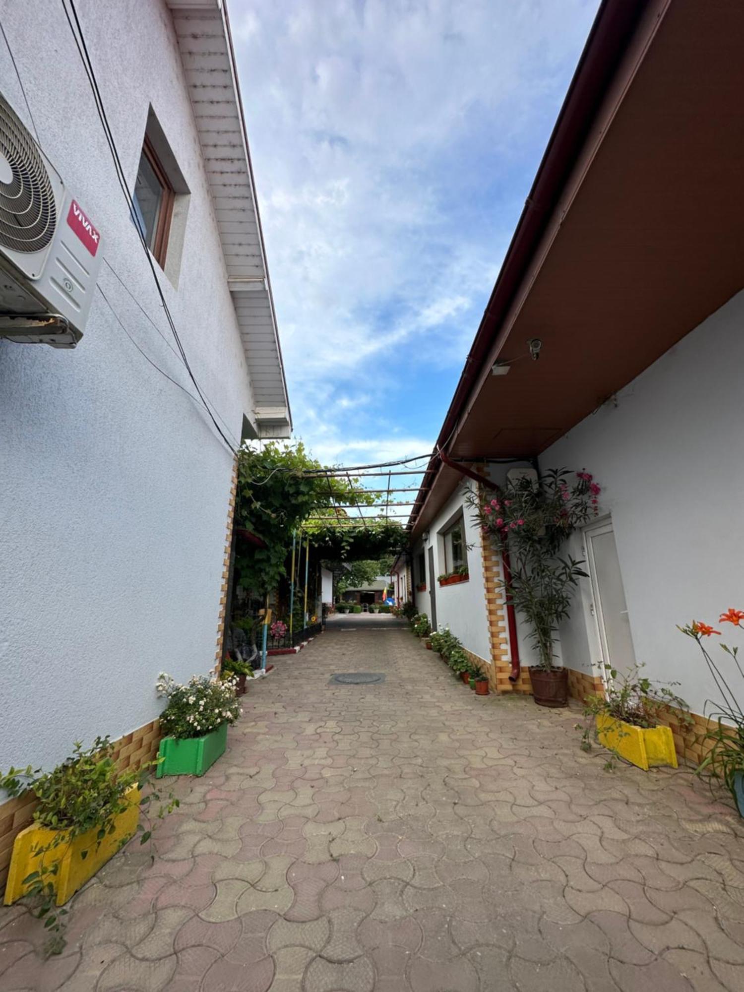 Отель Casa Cu Flori Corbu Корбу Экстерьер фото